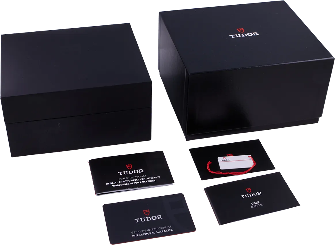 Tudor Pelagos 39 25407N-0001